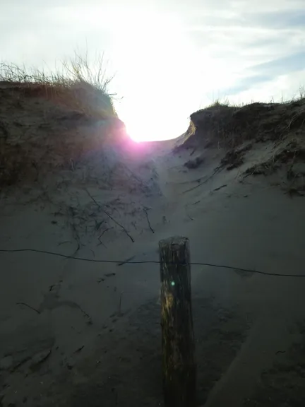 Oostnieuwkerke duinen wandeling in de koude (België)